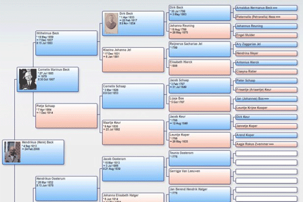 HuMo genealogy screenshot